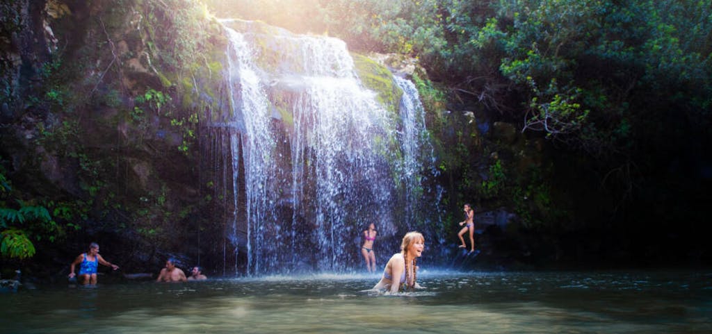 20190120 ARH 0500 3000x1409 1 1040x489