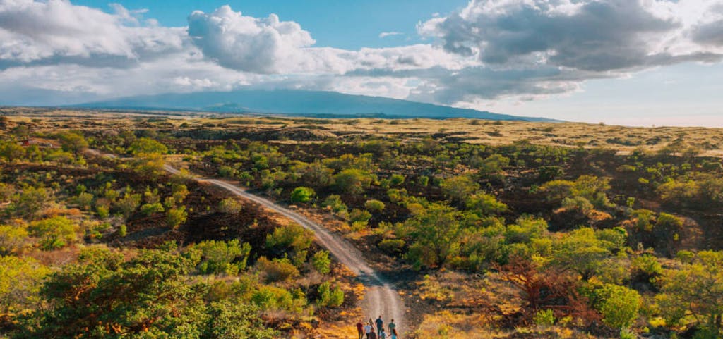 20220215 ARH 0112 1040x489