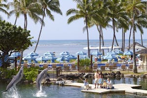 Dolphins jumping at Kahala Hotel