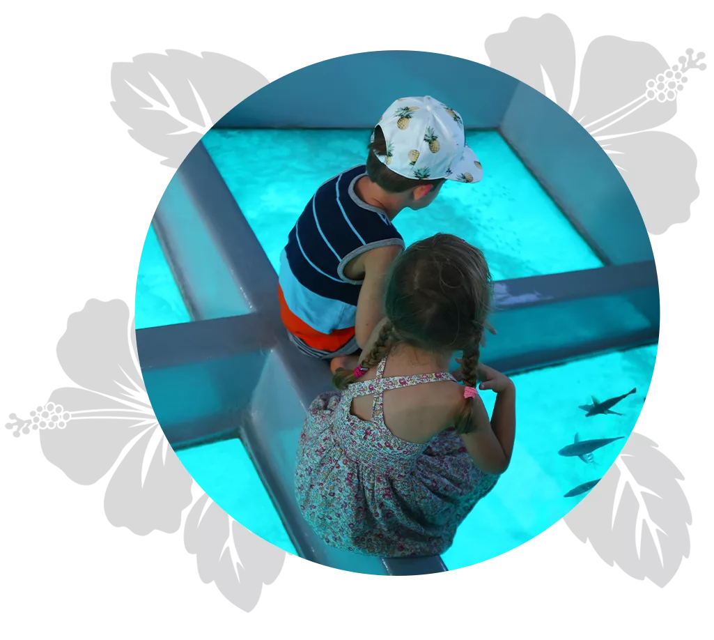 Big-Island-kids-day-2