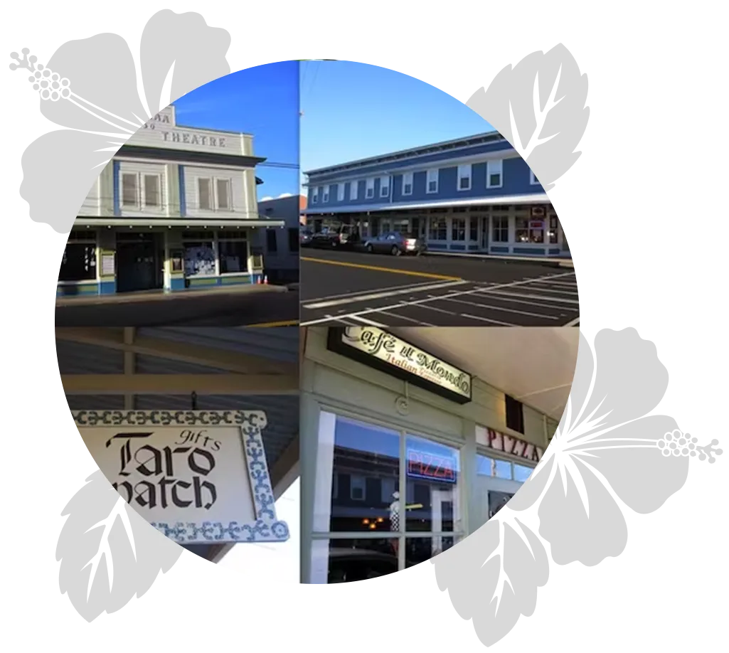 big-island-senior-day-5