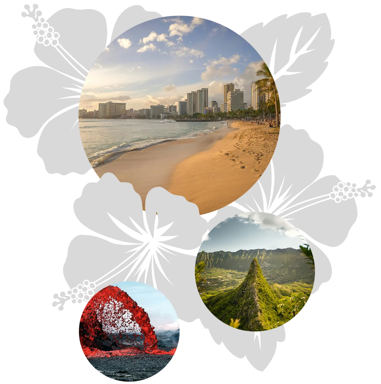 hawaii-Savers-features