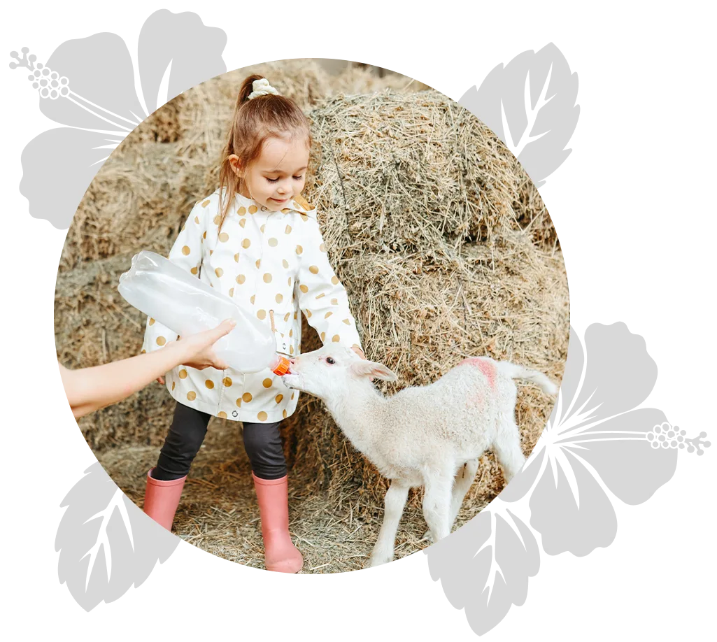 island-discovery-mau-day-3