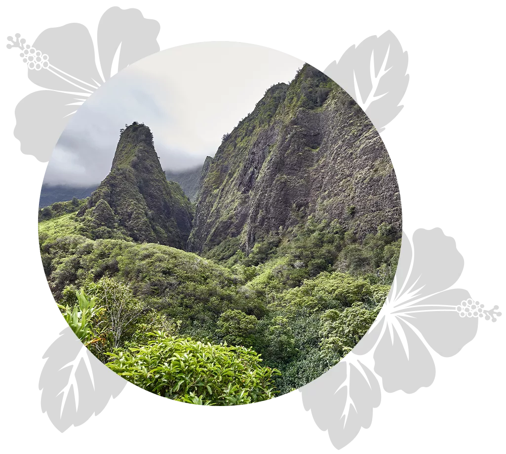 maui-kids-day-5.png-