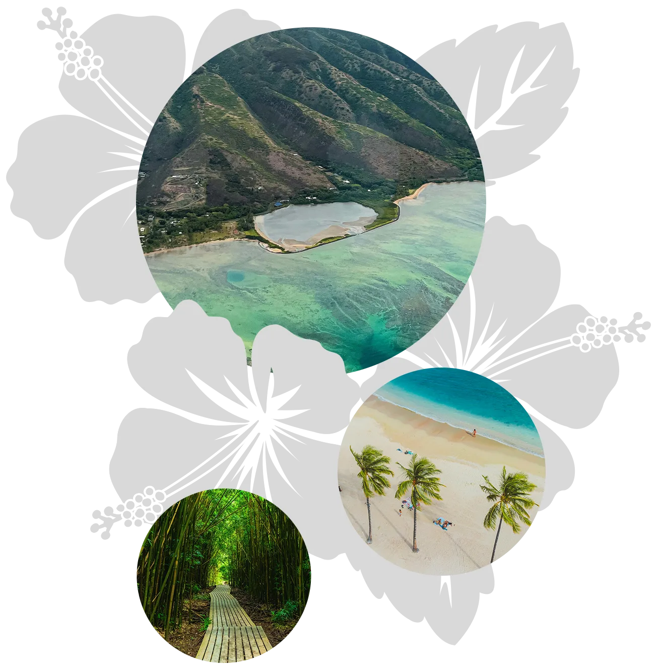 seniors-maui-features